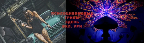трава Аркадак