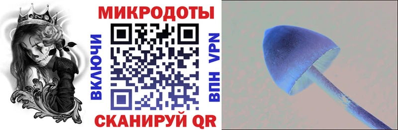 купить   Междуреченск  Галлюциногенные грибы Magic Shrooms 